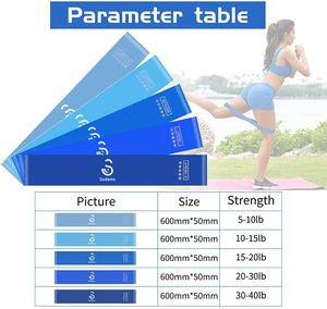 Chất Lượng Cao Đàn Hồi Mini Vòng Ban Nhạc Bộ Tập Thể Dục Màu Xanh Kháng Ban Nhạc Biểu Tượng Tùy Chỉnh Cho Tập Thể Dục Phòng Tập Thể Dục - Product Image 4