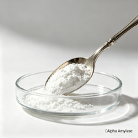 Poudre d'enzyme alpha-amylase de qualité alimentaire CAS9000-90-2, haute activité, 99% de matière active, pour la boulangerie, la brasserie, l'industrie de l'amidon, HALAL KOSHER