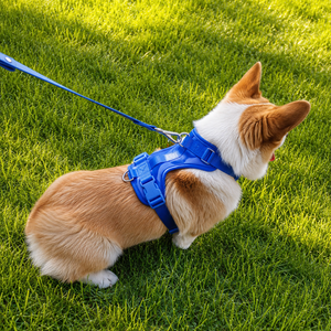 Conjunto de Arnés Resistente para Perro de 4 Piezas con Correa de PVC Impermeable, Collar, Chaleco Oxford Antiescape y Porta Bolsas para Excrementos - Product Image 6