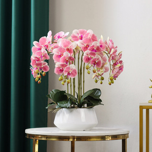 Orchidées artificielles en latex de haute qualité, faites à la main, toucher réel, pot en céramique, décoration d'intérieur pour la rentrée scolaire, la fête des mères, la remise des diplômes - Longue durée - Product Image 2