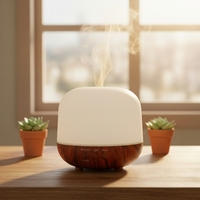 Diffuseur d'huiles essentielles de 250 ml avec lumière LED, diffuseur d'aromathérapie à ultrasons pour la maison, le bureau et l'hôtel