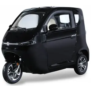 Nouveau tricycle électrique à prix compétitif, entièrement fermé, 3 roues, vente en gros de Chine par la CEE en Europe, tricycle électrique avec toit