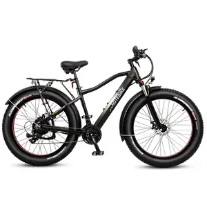 China Leverancier Berg Elektrische Fat Tire Bike 21 Speed 250W 350W 500W