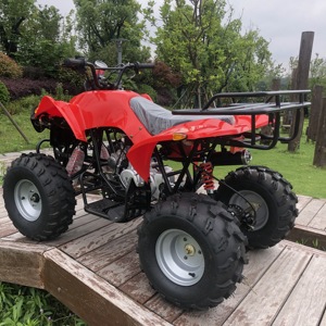<span class=keywords><strong>Quad</strong></span> chinois 125cc pour adultes, vente flash, avec certification CE - Product Image 4