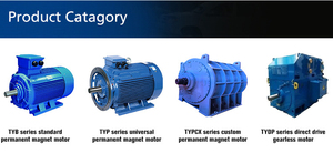 Enneng tốc độ thấp 30 kW 50kw 200Kw pmsm biển trục Flux động cơ điện - Product Image 6