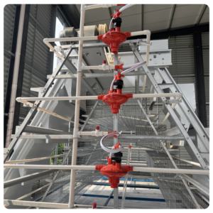 MT pollame attrezzature Jaula Para Gallinas Ponedoras completamente automatico strato di pollo gabbia sistema per la piccola azienda agricola - Product Image 5