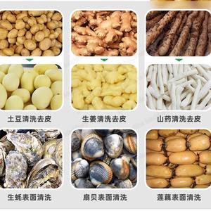 Comercial automático patata Taro jengibre patata dulce Raíz de loto mar pepino lavadora rodillo cepillado peladora - Product Image 5