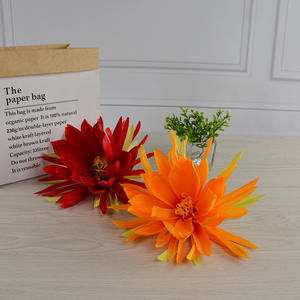 Nouvelles plantes enracinées <span class=keywords><strong>de</strong></span> Cereus nocturne premium, orchidée Epiphyllum, cactus orchidée parfumé, <span class=keywords><strong>fleur</strong></span> artificielle pour décoration DIY - Product Image 5