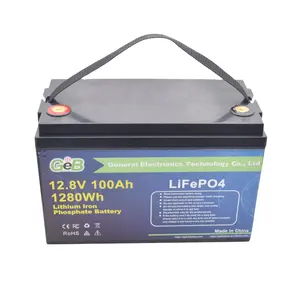 Customized Lithium iron Phosphate Batteries 12V Energy Storage 100Ah 150Ah 200Ah LiFePO4 Solar System Battery Case Pack