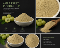Extrait d'Amla biologique pur, poudre de fruits d'Amla, poudre naturelle de groseille indienne pour la croissance des cheveux et les soins de la peau