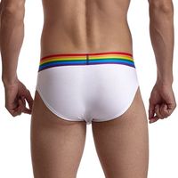 Haut de gamme qualité hommes coton peigné respirant absorber la sueur sexy slips sous-vêtements de sport arc-en-ciel élastique bande boxer