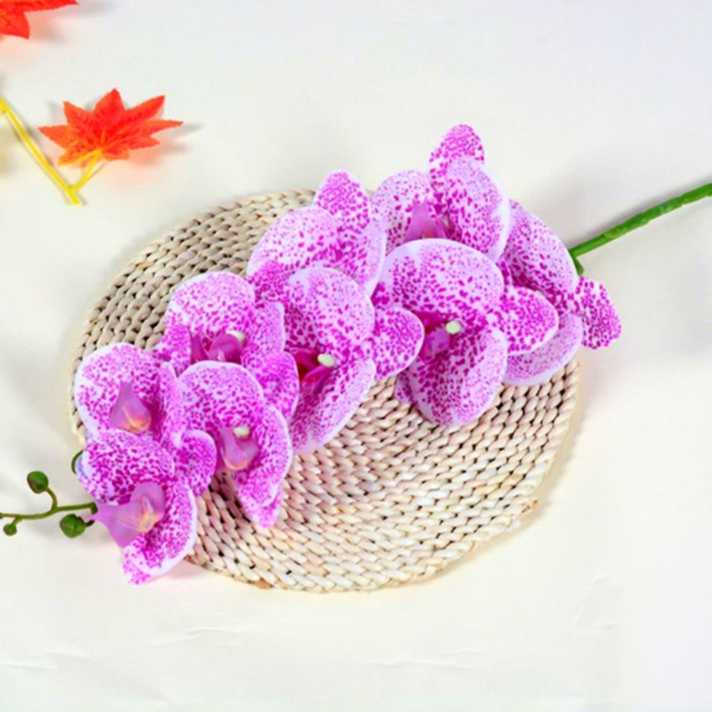 9-head phalaenopsis orchid-spotted purple-red