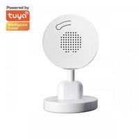 Mini caméra Wifi intelligente Tuya App 3mp avec vision nocturne et détection de mouvement