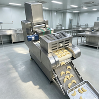 Machine industrielle de fabrication de snacks frits pour bâtonnets de pâte à base de farine de riz, machine de découpe de formes personnalisées avec une production élevée de 1000 kg/h