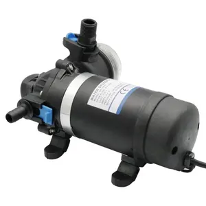 مضخة ضغط عالية من Whaleflo مضخة 160PSI 5LPM 110V AC Aquaponic عند الطلب لحوض السباحة