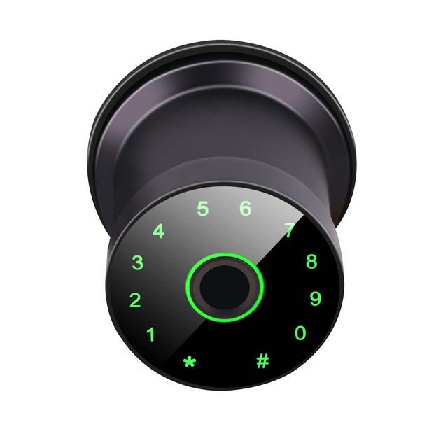 High Security Digital Door Lock IP65 Alloy Steel Glass Door Multi-Authentication Fingerprint Smart Cylinder Lock Cloud Tuya App