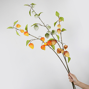Bất động cảm ứng PU Physalis trang trí nội thất mùa thu nhân tạo CAPE Gooseberry thân cây cho nhà dàn dựng đám cưới trung tâm ảnh đạo cụ - Product Image 1