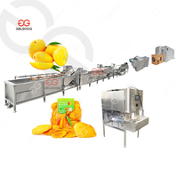 Coût de l'usine de traitement des chips de mangue molle mise en page entièrement automatique Machine de traitement de mangue séchée au Kenya
