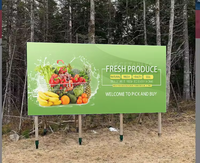 Drapeaux en polyester personnalisés imprimés en gros d'usine avec logo, anti-plis et portables pour tous les événements de tous les pays
