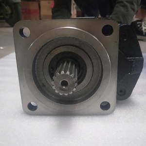Pompe à piston hydraulique ZHENYUAN Série P25 P25X305KIAB10-53AB10-1 Pompe à double engrenage - Product Image 6