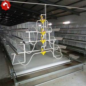 Sistema <span class=keywords><strong>de</strong></span> Jaulas para Cría <span class=keywords><strong>de</strong></span> Pollitas Tipo A, Económico, Baja Inversión, Alto Retorno <span class=keywords><strong>de</strong></span> la Inversión, Equipo <span class=keywords><strong>de</strong></span> Cría para África, Medio Oriente y Sudeste Asiático - Product Image 1