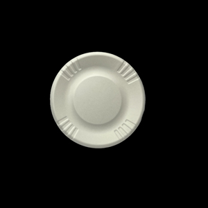 Assiettes de pulpe de canne à sucre biodégradables blanches colorables pour chauffer la <span class=keywords><strong>vaisselle</strong></span> jetable en bagasse - Product Image 1