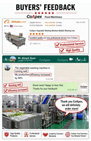 Automatische friet-, fruit- en groenteverwerkingsmachine voor standaardproductie, 300-500 kg/uur, geschikt voor professionele B2B-toepassingen.