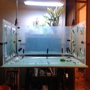 Xinxunlin Fabriek Levert Acryl Aquarium Aquarium Nieuw Ontwerp Groot Led Zeeaquarium Te Koop - Product Image 1