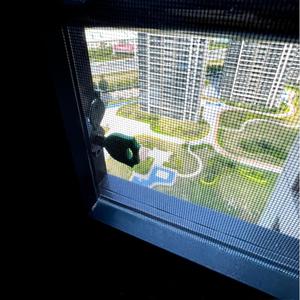 Finestre a battente in alluminio resistenti agli uragani con zanzariera e barra di sicurezza <span class=keywords><strong>per</strong></span> bambini <span class=keywords><strong>per</strong></span> progetti di appartamenti - Product Image 4