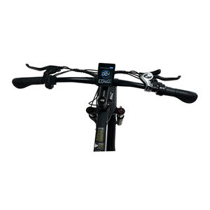 Электрический велосипед YUNQI EB26 с литиевой батареей, 26 дюймов, для взрослых, 1000 Вт, 48 В, 15 Ач, с цифровым дисплеем, задний мотор-редуктор, рама из алюминиевого сплава - Product Image 5