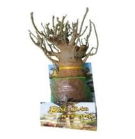 Autocollant aimanté pour réfrigérateur, motif arbre Baobab Bonsai unique, pour intérieur, vente en gros