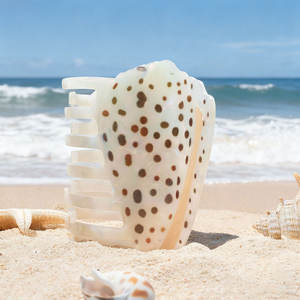 Molletta personalizzata per capelli in acetato con fermaglio per capelli personalizzato in stile europeo e americano per vacanze estive in acetato - Product Image 2