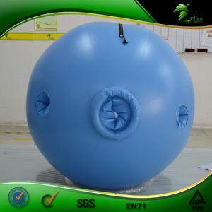 Costume Gonfiabile in PVC Hongyi, Tuta Rotolante a Forma di Mirtillo - Product Image 3