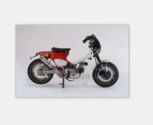 EEC 가솔린 새끼 오토바이 오토바이 자전거 50CC