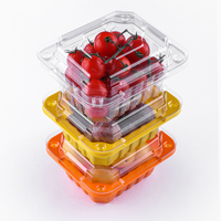 Framboises de qualité alimentaire personnalisées d'approvisionnement d'usine, récipient alimentaire de fraises 8 12 19oz boîte-cadeau en plastique de fruits