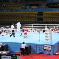 Toile de ring de boxe professionnelle approuvée par l'IBA, Wesing