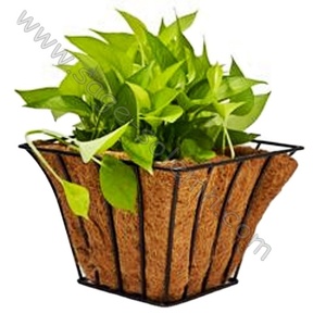 <span class=keywords><strong>Fioriera</strong></span> ad Arco in Ferro Battuto, Supporto per <span class=keywords><strong>Fioriera</strong></span> - Product Image 3