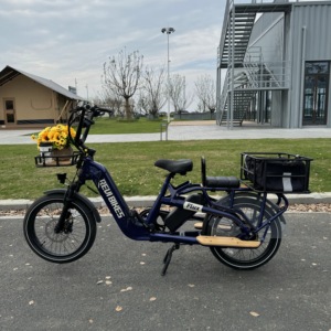 Bicicleta de Carga Familiar Personalizada, Bicicleta Eléctrica de Alta Calidad con Marco de Aleación de Aluminio de 7 Velocidades, Autonomía Superior a 60 km, Bicicleta Eléctrica para Adultos para Dos Bebés - Product Image 6