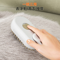 Peigne de massage pour animaux de compagnie avec charge USB, outil de toilettage pour animaux de compagnie, peigne à vapeur pour chats, brosse de massage pour chiens et chats