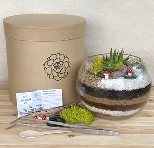 Borosilikat tinggi DIY terarium Kit toples buatan tangan dan botol untuk vas penumbuh taman hidroponik dengan kaca visibilitas tinggi - Product Image 5