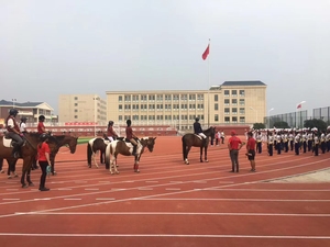 Inolp IAAF รางวิ่งสำเร็จรูปพื้นสำหรับกีฬากลางแจ้งทำจาก PP ได้รับการรับรอง - Product Image 6