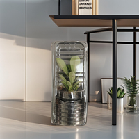Boîte d'emballage pour transport de semis de plantes et de fleurs Cajas de transporte para flores y semillas de plantas