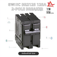 Disjoncteur aérien de type BR2125 120/240VAC 125A 10kA 2 pôles à montage enfichable pour usage industriel thermique magnétique 50/60Hz