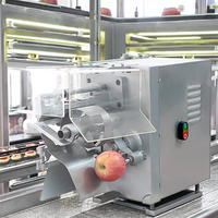 Machine à éplucher les oranges automatique Éplucheur/carottier/trancheuse de pommes électrique commerciale Trancheuse à pommes