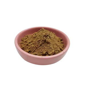 Tùy chỉnh độ tinh khiết cao hữu cơ bồ công anh chiết xuất bột số lượng lớn Nhà sản xuất trực tiếp OEM phòng thí nghiệm thử nghiệm flavonoid - Product Image 2