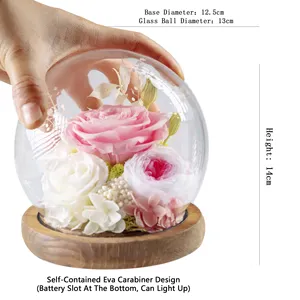 Cadeaux de la Saint-Valentin - <span class=keywords><strong>Rose</strong></span> éternelle réelle - Bella - Idées de nouveaux produits 2025 - Roses éternelles - Fleur préservée dans un dôme en verre - Product Image 3