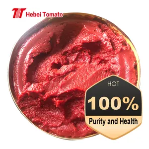 Easy open tomato paste in 28-30% brix with high fresh quality best price in different sizes