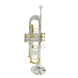 Instrumentos musicales Your-City para principiantes prácticos de alta calidad, Trompeta plana en B chapada en plata de dos colores