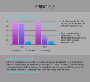 Beco trufat điêu khắc ai công nghệ thông minh máy làm đẹp giảm béo làm nóng hai lớp giảm béo làm tan mỡ giảm cân - Product Image 6
