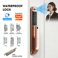 Serrure de porte intelligente résistante aux intempéries, indice de protection IP66, reconnaissance faciale 3D, interphone vidéo, empreinte digitale biométrique, WiFi, application Tuya